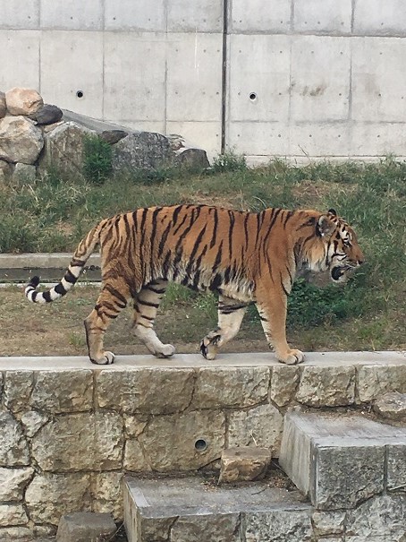 天王寺動物園