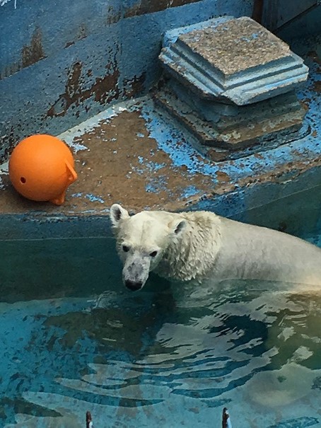 天王寺動物園