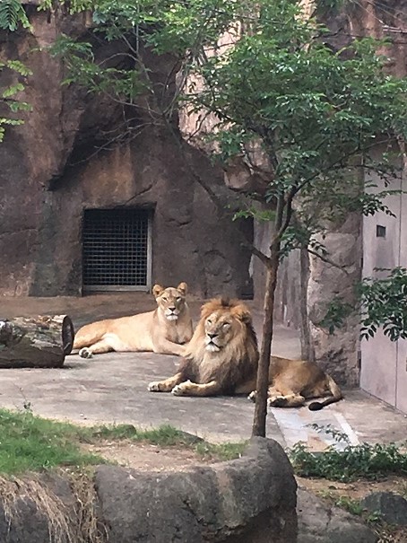 天王寺動物園