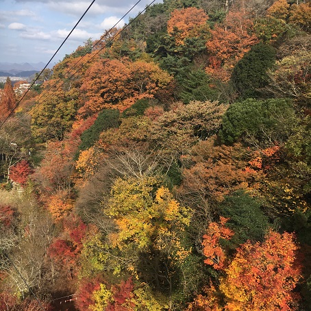 紅葉