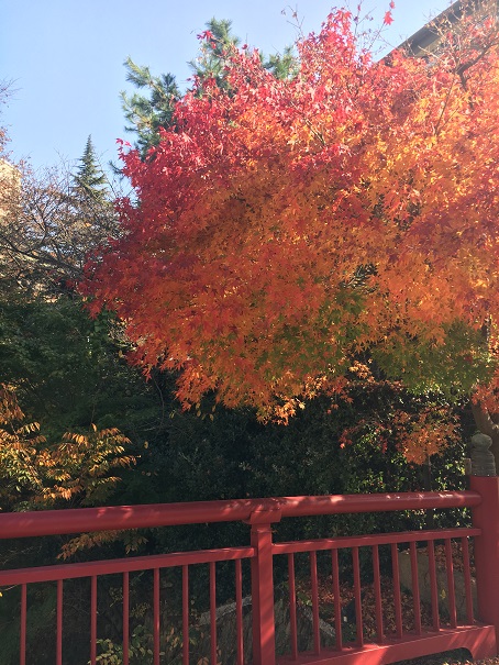 紅葉