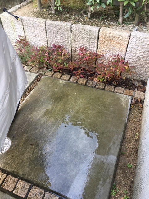 冬の大掃除