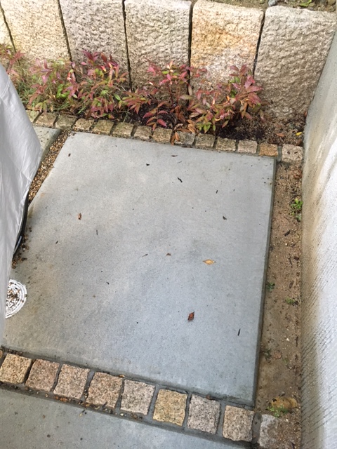 冬の大掃除