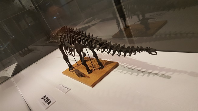 恐竜めぐり!(^^)!