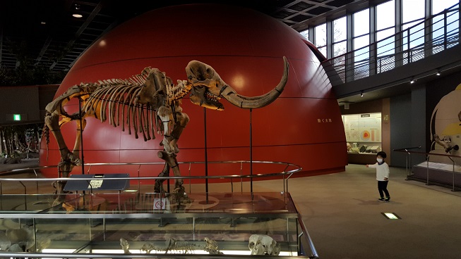 恐竜めぐり!(^^)!