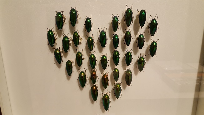 恐竜めぐり!(^^)!