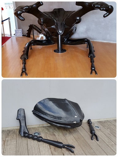 休日の過ごし方