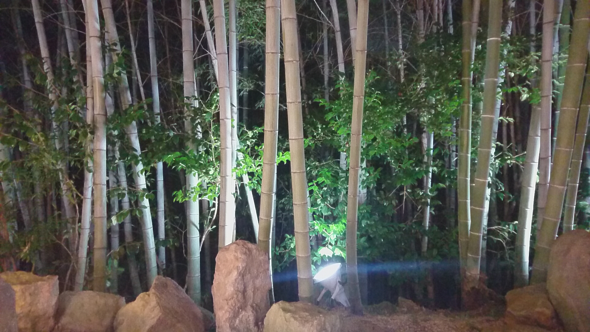 うどん屋さん。