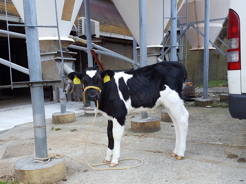 ハイキングと牧場!(^^)!