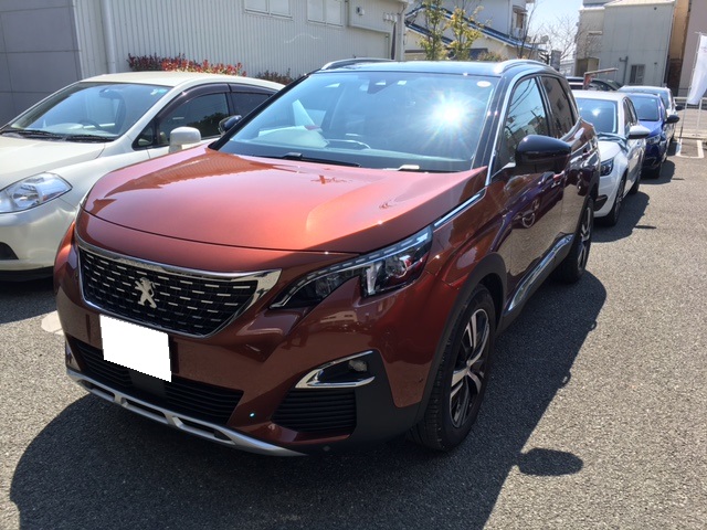 NEW3008 　メタリックコッパ―