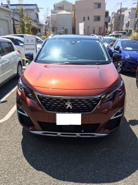 NEW3008 　メタリックコッパ―