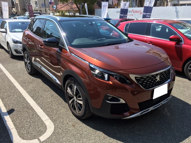 NEW3008 　メタリックコッパ―