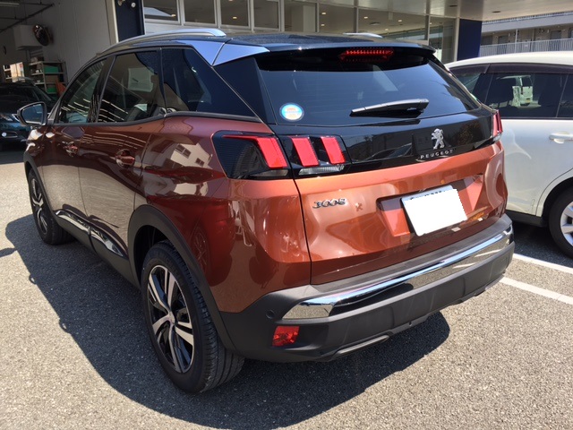 NEW3008 　メタリックコッパ―