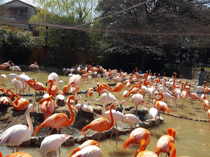 動物園に行って来ました～!(^^)!