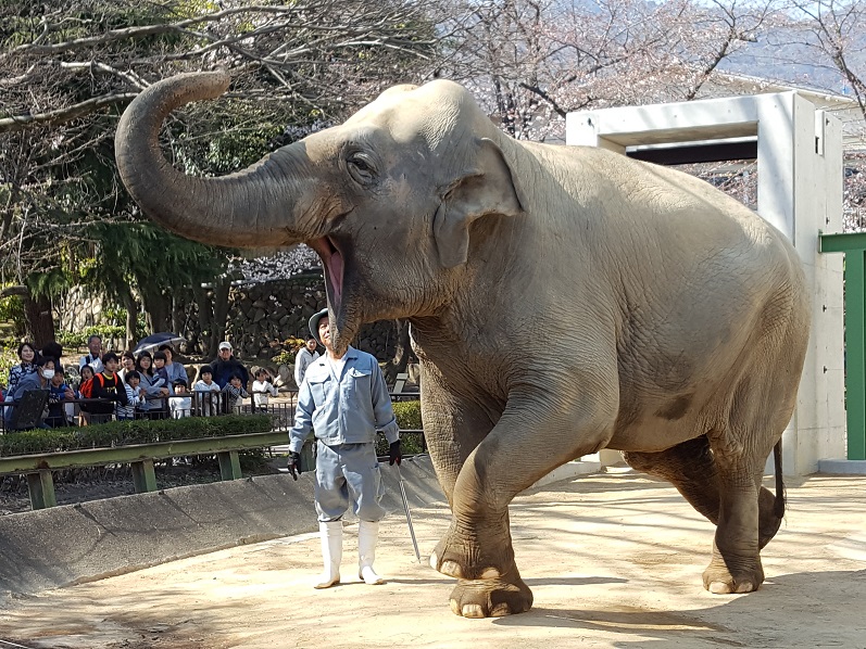 動物園に行って来ました～!(^^)!