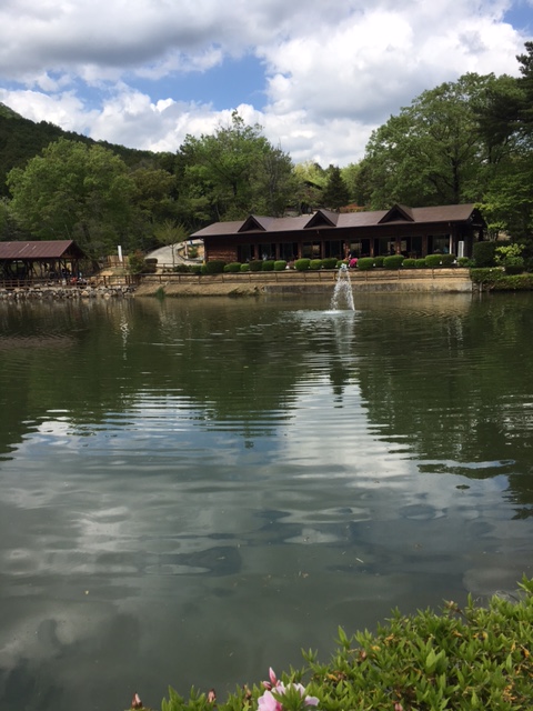 JAF割引でしいたけ狩りへ行こう