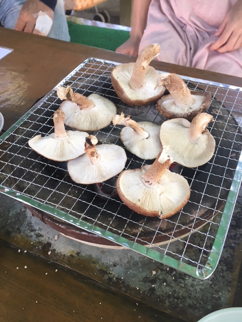 JAF割引でしいたけ狩りへ行こう