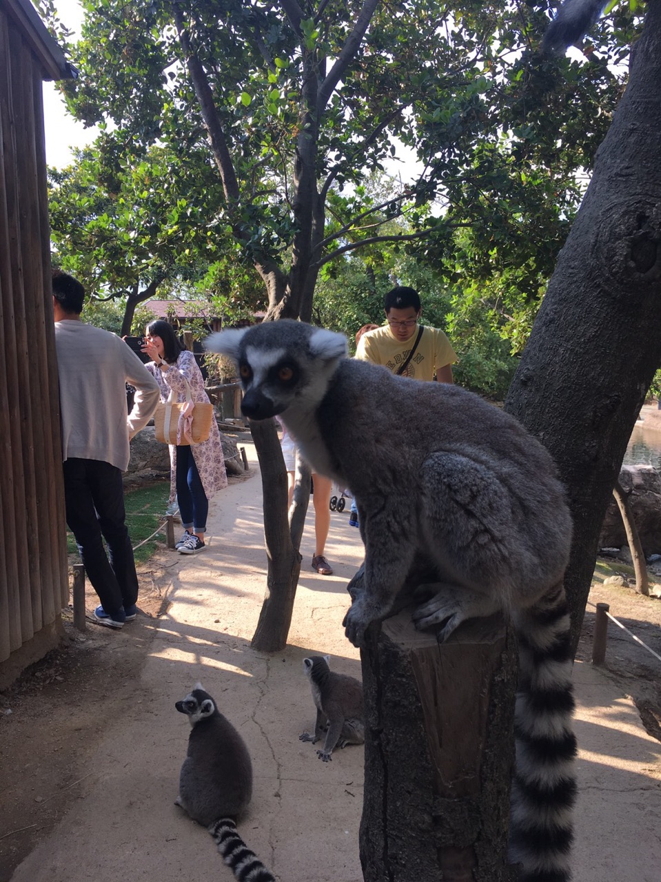神戸動物王国