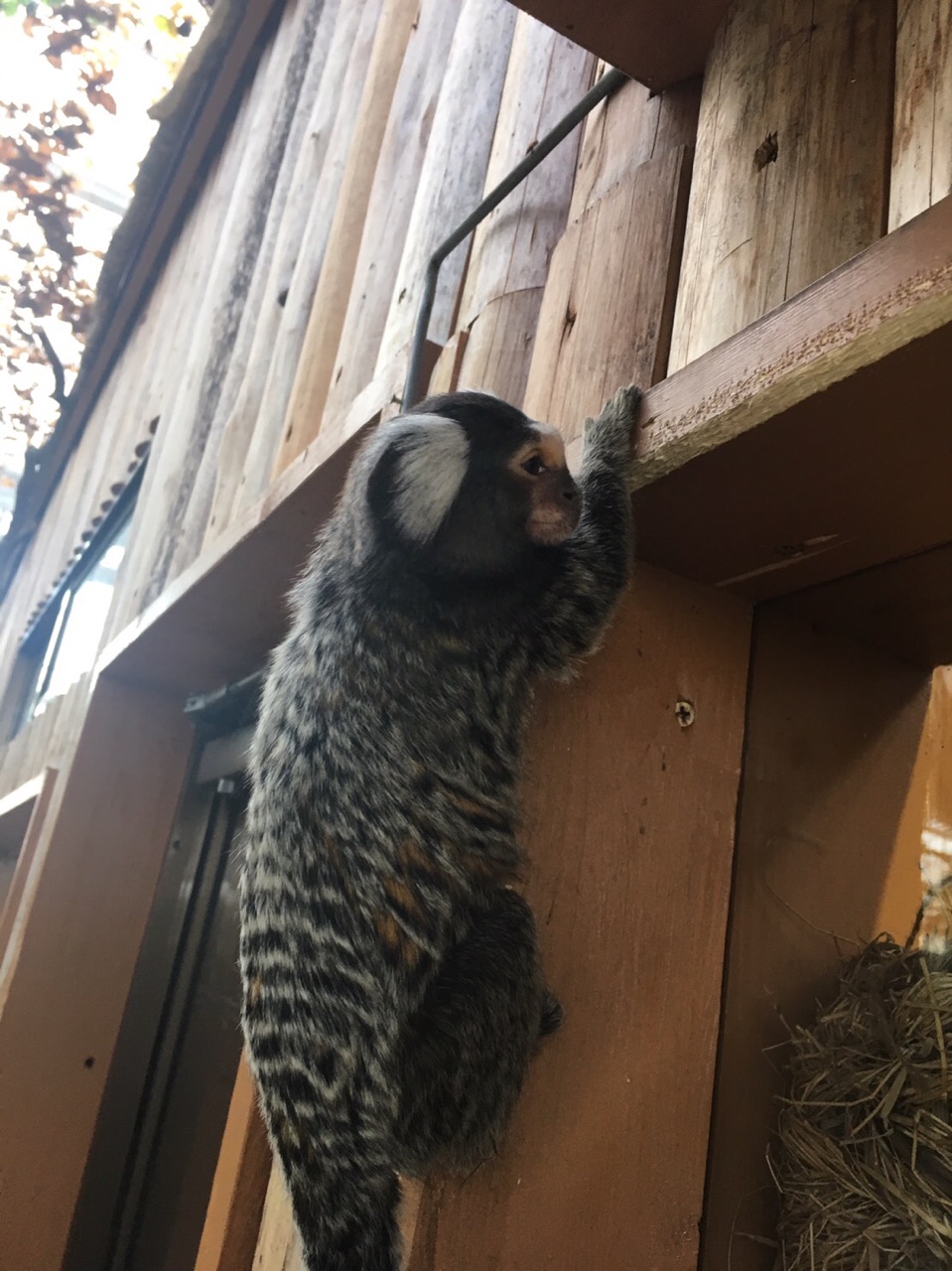 神戸動物王国