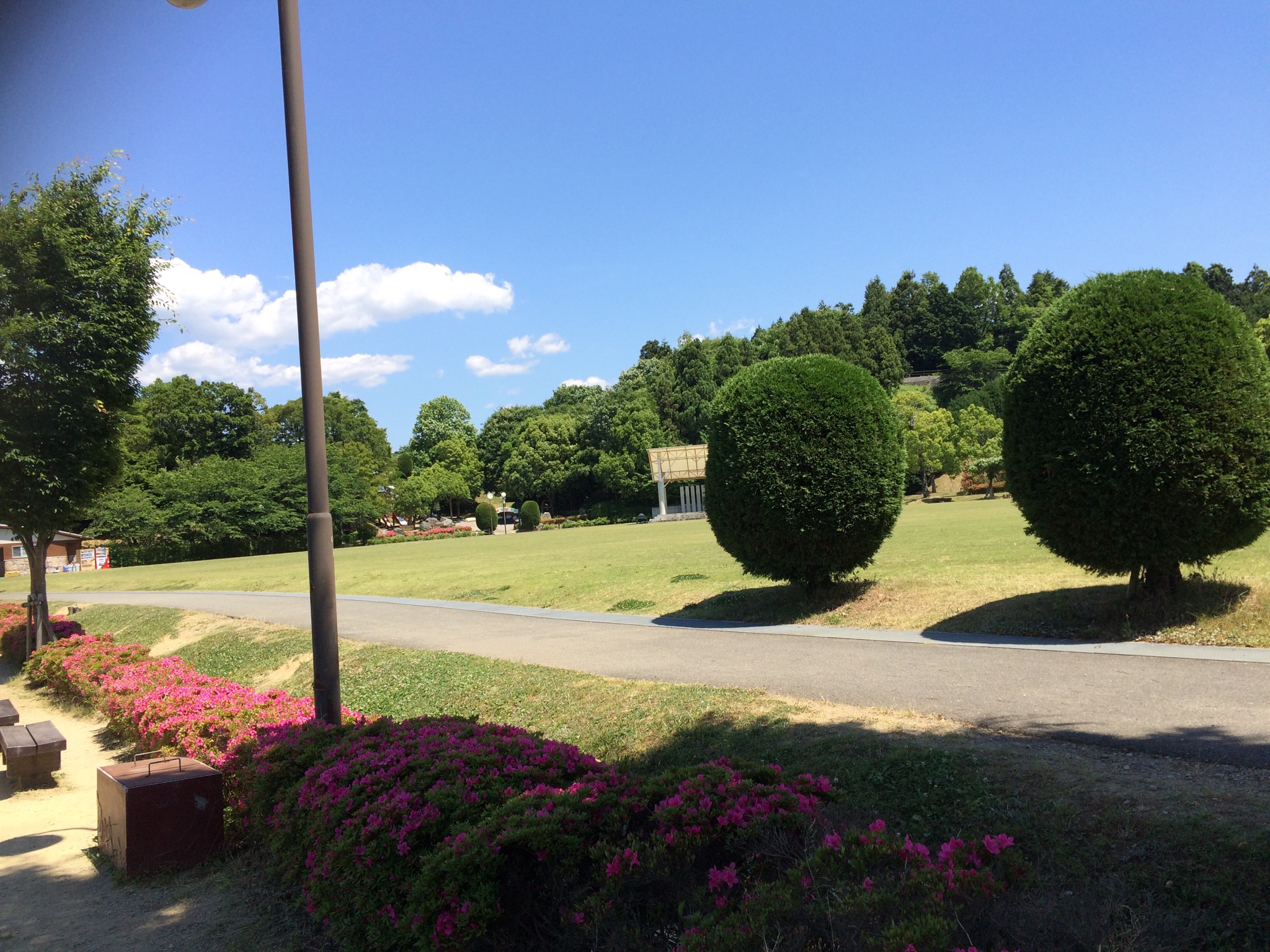 公園