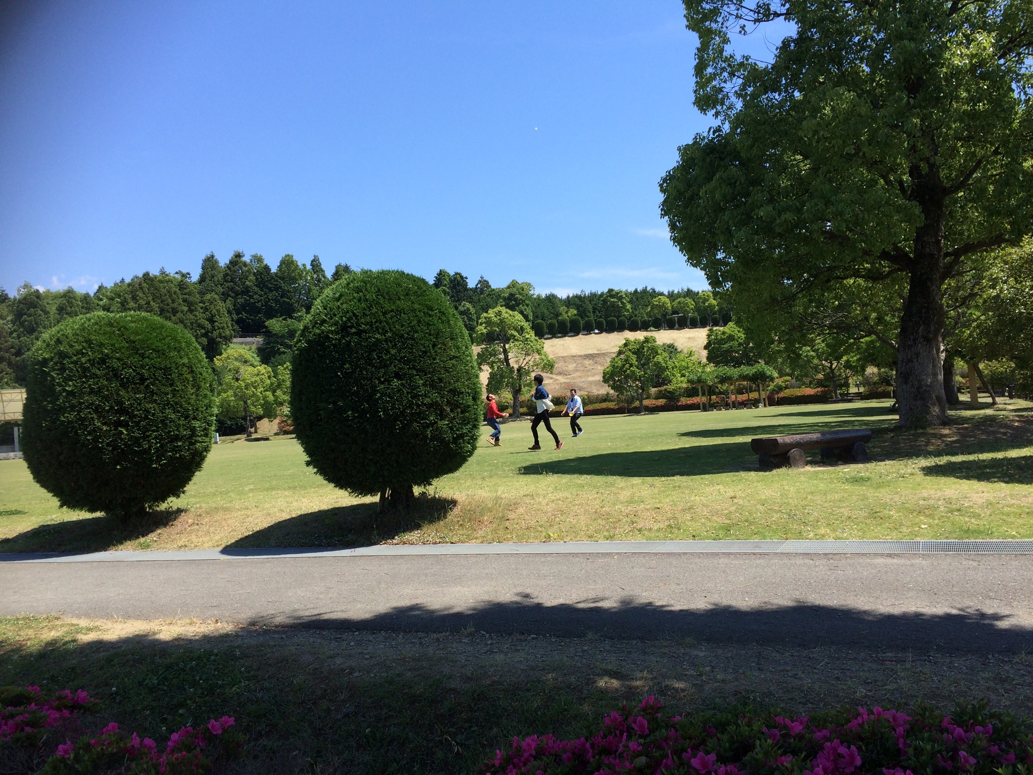 公園