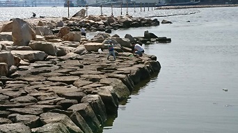 カニ釣り(*^_^*)