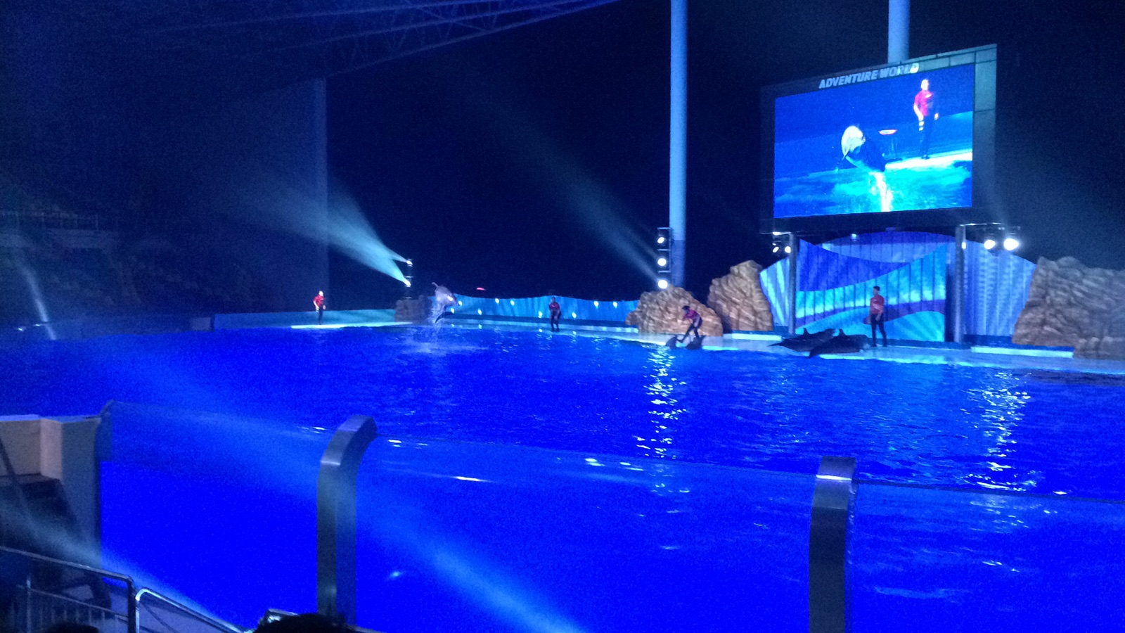 白浜　アドベンチャーワールド