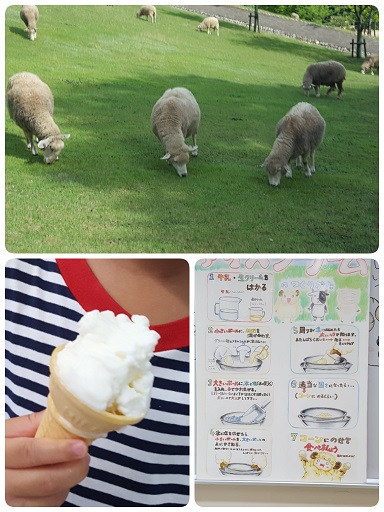 夏の六甲山へ～(*^_^*)