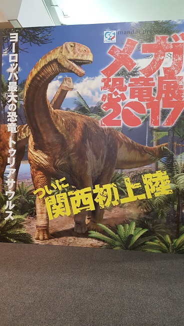 夏も終盤！