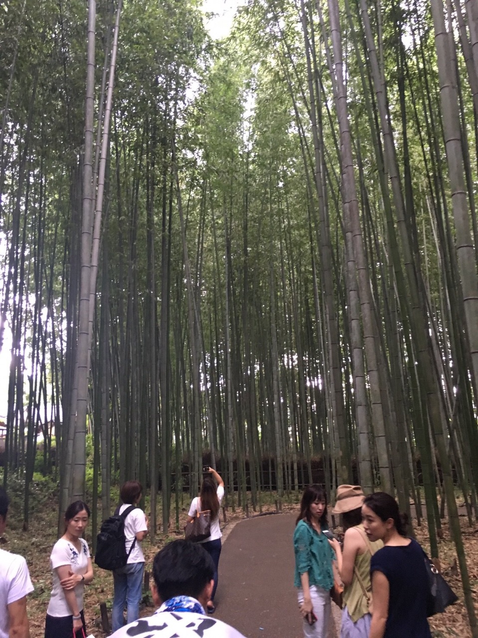 京都旅
