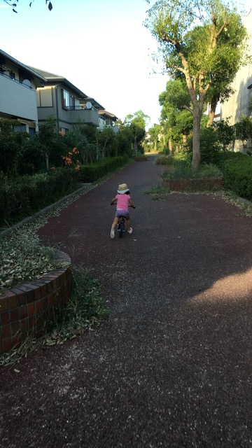 夏休み最終日