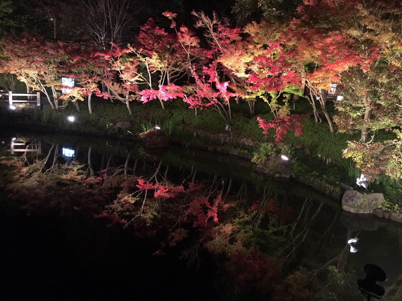 なばなの里　In　三重県　桑名市