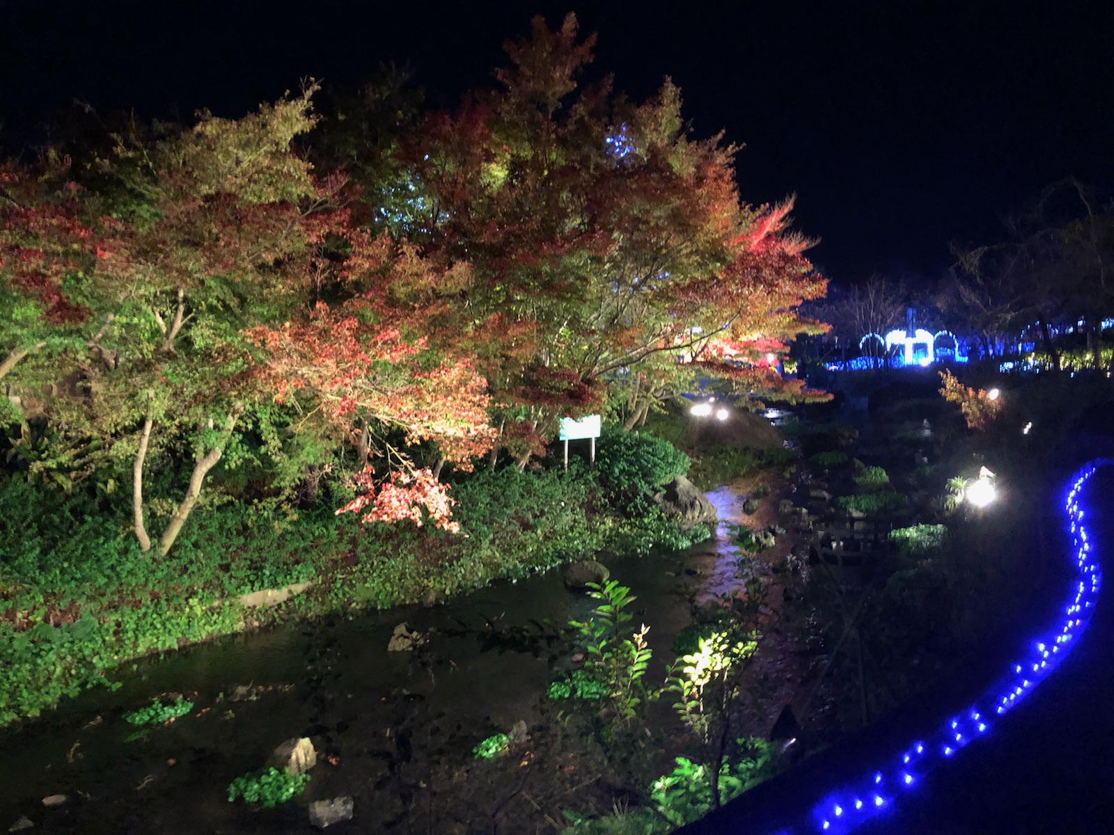 なばなの里　In　三重県　桑名市