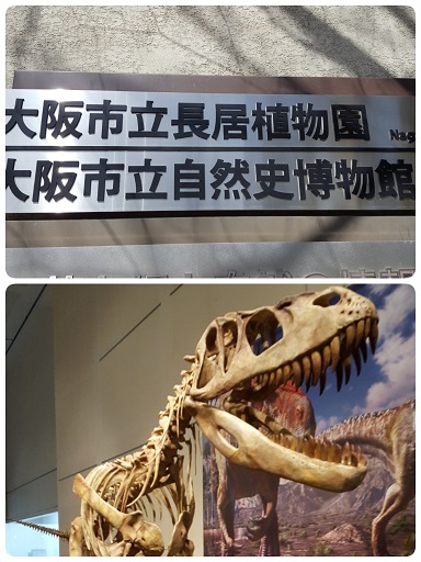 卵のお話～