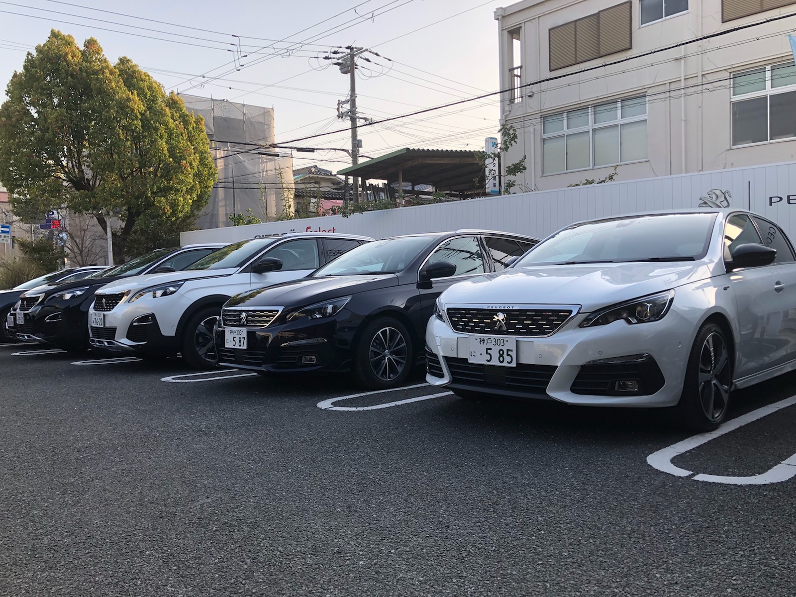 プジョー西宮 ショールーム情報