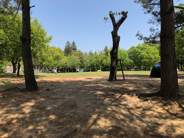 休日は公園へ
