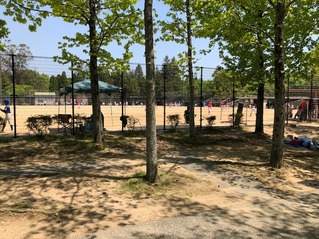 休日は公園へ