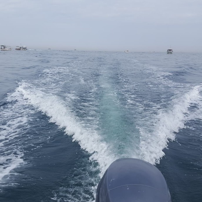 今年の初釣り～＆料理