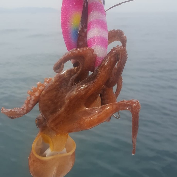 今年の初釣り～＆料理