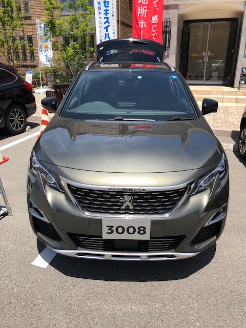 晴れた日はAMAZONITEGRAY（アマゾナイトグレイ）がキレイ