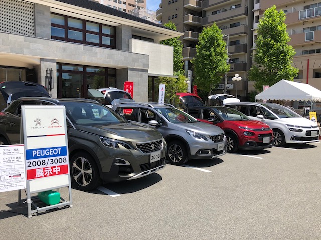 晴れた日はAMAZONITEGRAY（アマゾナイトグレイ）がキレイ