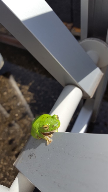 梅雨入り＆メンテナンスのオススメ！！