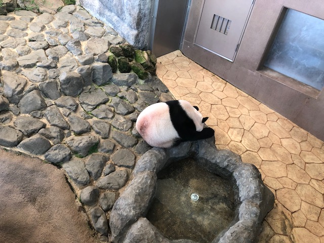 夏の終わりに和歌山へ