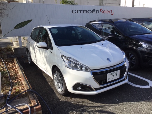 話題の特別仕様車登場！
