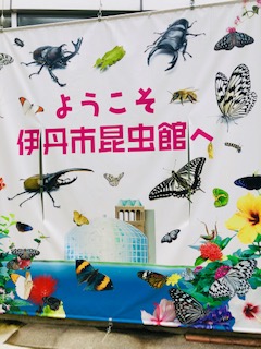 伊丹市昆虫館＆伊丹スカイパーク