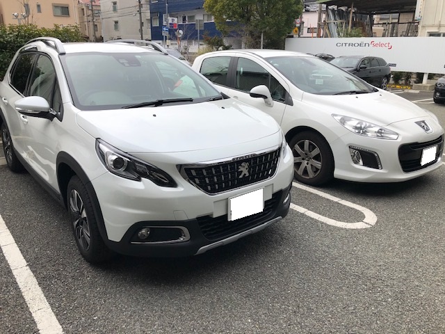 2008ALLURE納車式
