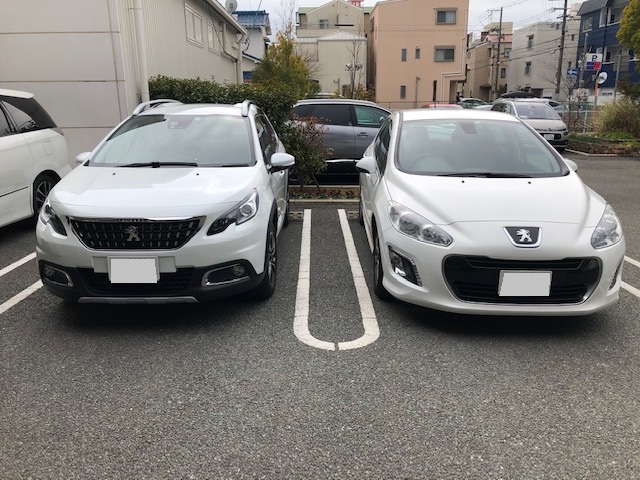 2008ALLURE納車式