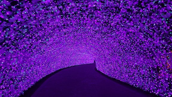 なばなの里へ行ってきました☆
