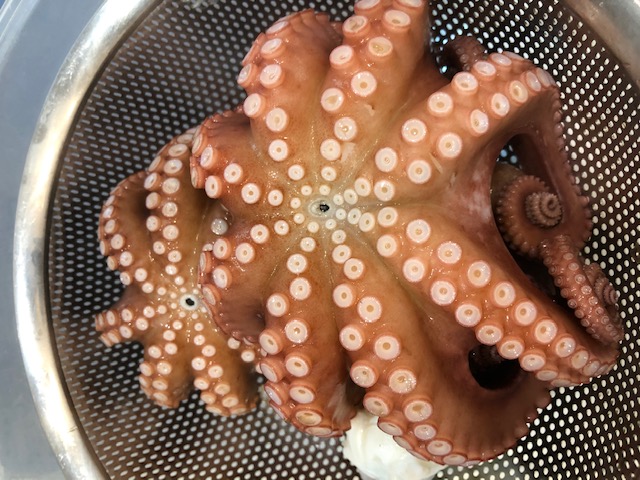 趣味のお話②