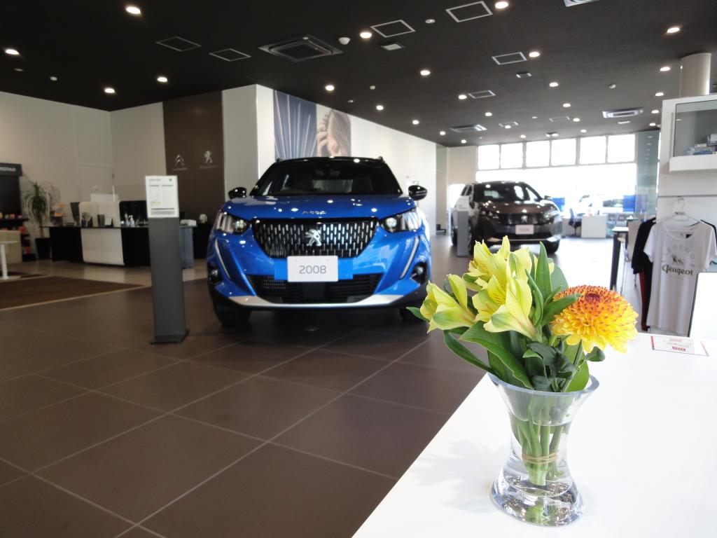 春ですね☆　今週のお花